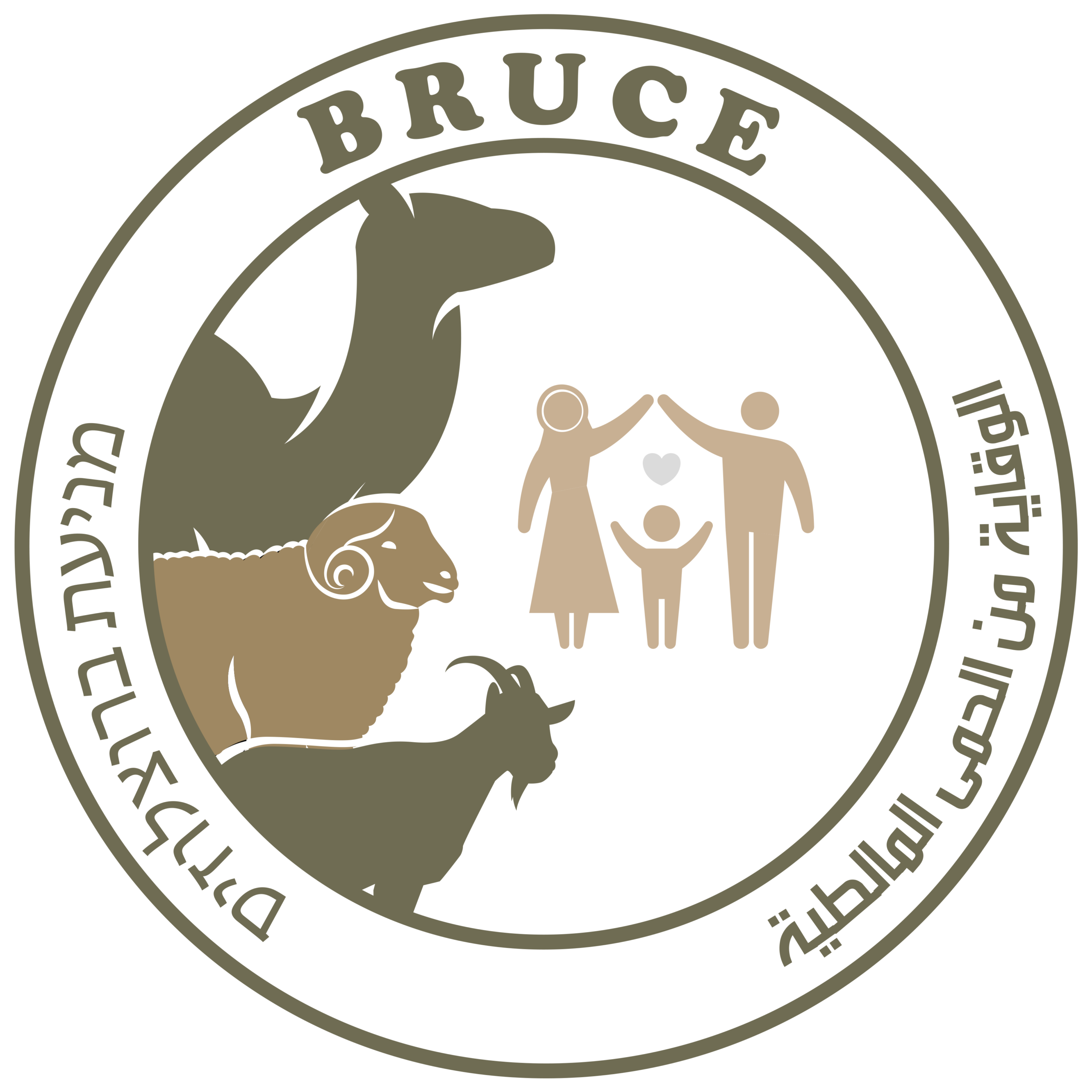 BRUCE project